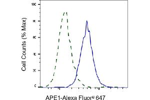 Validation of APE1 knockdown using flow cytometry. (Recombinant APEX1 anticorps)