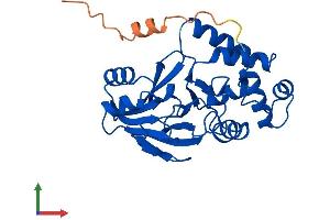 AlphaFold protein structure predicition of Mouse Recombinant Haghl Protein, UniprotID Q9DB32