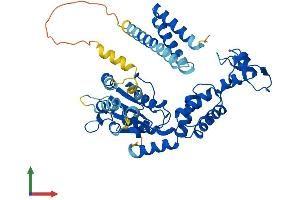 AlphaFold protein structure predicition of Human Recombinant VPS4B Protein, UniprotID O75351