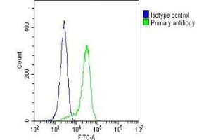 Overlay histogram showing Hela cells stained with (ABIN1539843 and ABIN2843824)(green line).