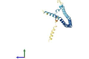 AlphaFold protein structure predicition of Mouse Recombinant Cav2 Protein, UniprotID Q9WVC3