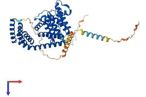 AlphaFold protein structure predicition of Mouse Recombinant Ficd Protein, UniprotID Q8BIX9