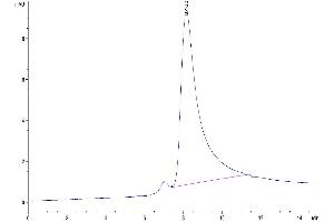 The purity of Mouse FAP is greater than 95 % as determined by SEC-HPLC.