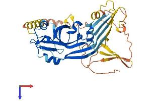 AlphaFold protein structure predicition of Human Recombinant PJVK Protein, UniprotID Q0ZLH3