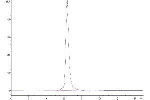 The purity of Biotinylated Human Tim-3/HAVCR2 is greater than 95 % as determined by SEC-HPLC.
