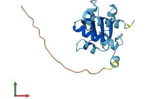 AlphaFold protein structure predicition of Mouse Recombinant Nhp2 Protein, UniprotID Q9CRB2
