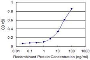 Detection limit for recombinant GST tagged IL1A is 1 ng/ml as a capture antibody. (IL1A anticorps  (AA 172-271))