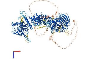 AlphaFold protein structure predicition of Human Recombinant RPTOR Protein, UniprotID Q8N122