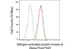 Flow cytometric analysis of Mitogen-activated protein kinase 9 expression in HeLa cells using Mitogen-activated protein kinase 9 antibody (ABIN7799458), 1:2,000). (JNK2 anticorps)