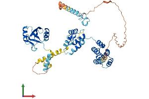 AlphaFold protein structure predicition of Mouse Recombinant Pnma3 Protein, UniprotID Q8JZW8