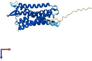AlphaFold protein structure predicition of Mouse Recombinant Ffar1 Protein, UniprotID Q76JU9
