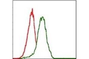 Flow Cytometry (FACS) image for anti-Pancreatic and Duodenal Homeobox 1 (PDX1) antibody (ABIN1107765)