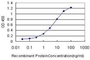Detection limit for recombinant GST tagged BSCL2 is approximately 0.