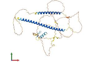 AlphaFold protein structure predicition of Mouse Recombinant Tank Protein, UniprotID P70347
