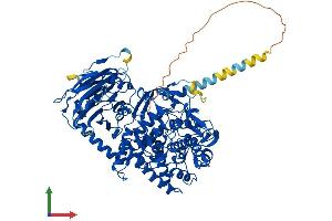 AlphaFold protein structure predicition of Human Recombinant MOGS Protein, UniprotID Q13724