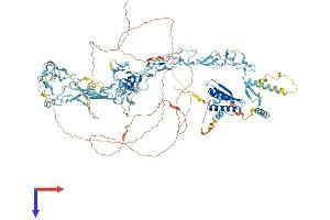 AlphaFold protein structure predicition of Human Recombinant NFX1 Protein, UniprotID Q12986