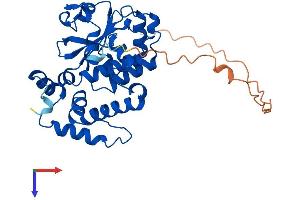 AlphaFold protein structure predicition of Human Recombinant CLVS2 Protein, UniprotID Q5SYC1