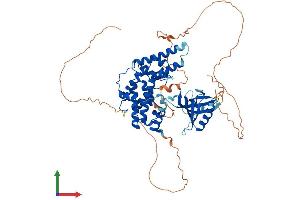 AlphaFold protein structure predicition of Mouse Recombinant Ralgps2 Protein, UniprotID Q9ERD6