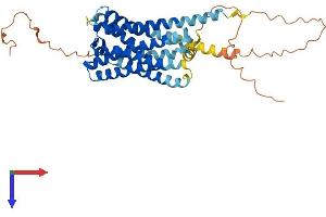 AlphaFold protein structure predicition of Human Recombinant PTGER1 Protein, UniprotID P34995