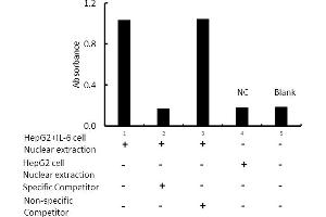 Transcription factor assay of HNF-1-alpha from nuclear extracts of HepG2 cells or HepG2 cells treated with IL-6 with the specific competitor or non-specific competitor.