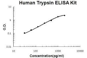 Human Trypsin PicoKine ELISA Kit standard curve (PRSS3 Kit ELISA)