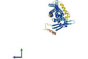 AlphaFold protein structure predicition of Mouse Recombinant Snx7 Protein, UniprotID Q9CY18