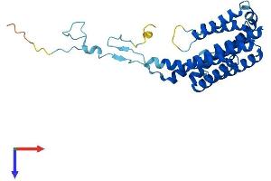 AlphaFold protein structure predicition of Mouse Recombinant Pigc Protein, UniprotID Q9CXR4