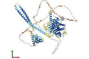 AlphaFold protein structure predicition of Mouse Recombinant Osbp2 Protein, UniprotID Q5QNQ6