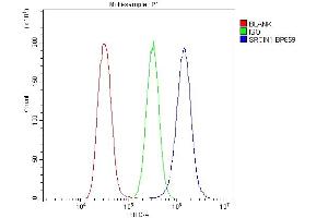 Flow Cytometry analysis of U20S cells using anti-SRCIN1 antibody (ABIN6719623).