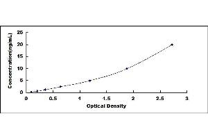 Typical standard curve