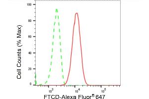 Flow cytometric analysis of FTCD expression in HT- cells using FTCD antibody (ABIN7798654), 1:2,000). (Recombinant FTCD anticorps)