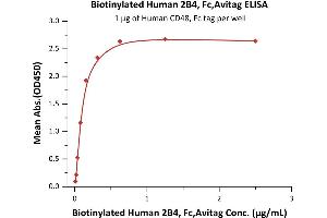 Immobilized Human CD48, Fc tag at 10 μg/mL (100 μL/well) can bind Biotinylated Human 2B4, Fc,Avitag (ABIN5526626,ABIN5526627) with a linear range of 0.