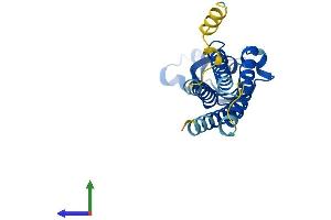 AlphaFold protein structure predicition of Human Recombinant CLRN1 Protein, UniprotID P58418