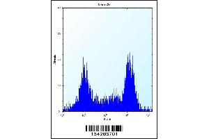 Flow cytometric analysis of Neuro-2a cells (right histogram) compared to a negative control cell (left histogram).