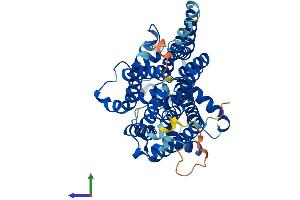 AlphaFold protein structure predicition of Human Recombinant PIGV Protein, UniprotID Q9NUD9
