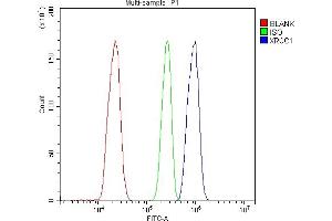 Flow Cytometry analysis of THP-1 cells using anti-XRCC1 antibody (ABIN5693138).