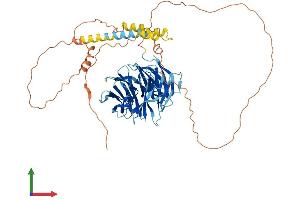 AlphaFold protein structure predicition of Human Recombinant TLE6 Protein, UniprotID Q9H808