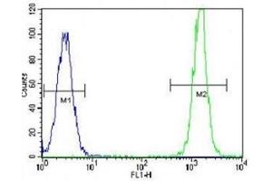 KRAS antibody flow cytometric analysis of HeLa cells (right histogram) compared to a negative control (left histogram).