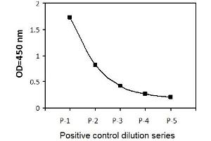 HeLa cells were treated with Nocodazole at 37°C for 20 hours.