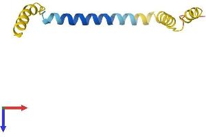 AlphaFold protein structure predicition of Mouse Recombinant Dexi Protein, UniprotID Q9WUQ7