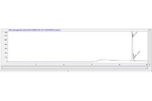 Parathyroid Hormone (PTH) peptide (Ovalbumin)