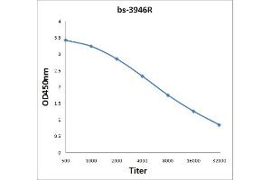 Antigen: 2 µg/100 µL  Primary: Antiserum, 1:500, 1:1000, 1:2000, 1:4000, 1:8000, 1:16000, 1:32000;  Secondary: HRP conjugated Rabbit Anti-Goat IgG at 1: 5000;  TMB staining Read the data in Microplate Reader by 450nm.