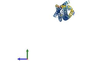 AlphaFold protein structure predicition of Human Recombinant STX1A Protein, UniprotID Q16623