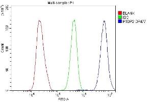 Flow Cytometry analysis of HeLa cells using anti-PTBP2 antibody (ABIN7599452). (PTBP2 anticorps  (AA 1-504))