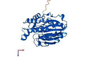 AlphaFold protein structure predicition of Mouse Recombinant Cpped1 Protein, UniprotID Q8BFS6