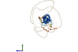 AlphaFold protein structure predicition of Mouse Recombinant Jph4 Protein, UniprotID Q80WT0
