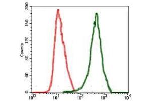 Flow cytometric analysis of MCF-7 cells using RAF1 mouse mAb (green) and negative control (red).