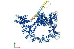 AlphaFold protein structure predicition of Human Recombinant NAA16 Protein, UniprotID Q6N069