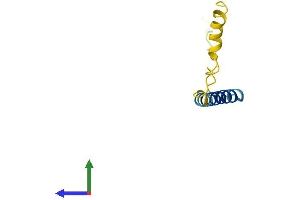 AlphaFold protein structure predicition of Human Recombinant CTXN1 Protein, UniprotID P60606