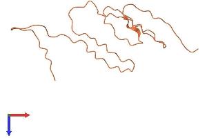 AlphaFold protein structure predicition of Human Recombinant KRTAP2-2 Protein, UniprotID Q9BYT5